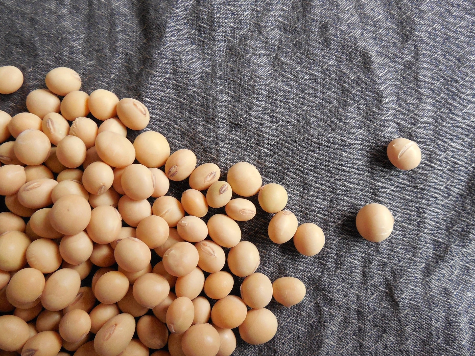 Nattokinase: Was das Enzym im Körper leistet – und warum Komplex Nr. 7 mehr ist als nur Nattokinase ist