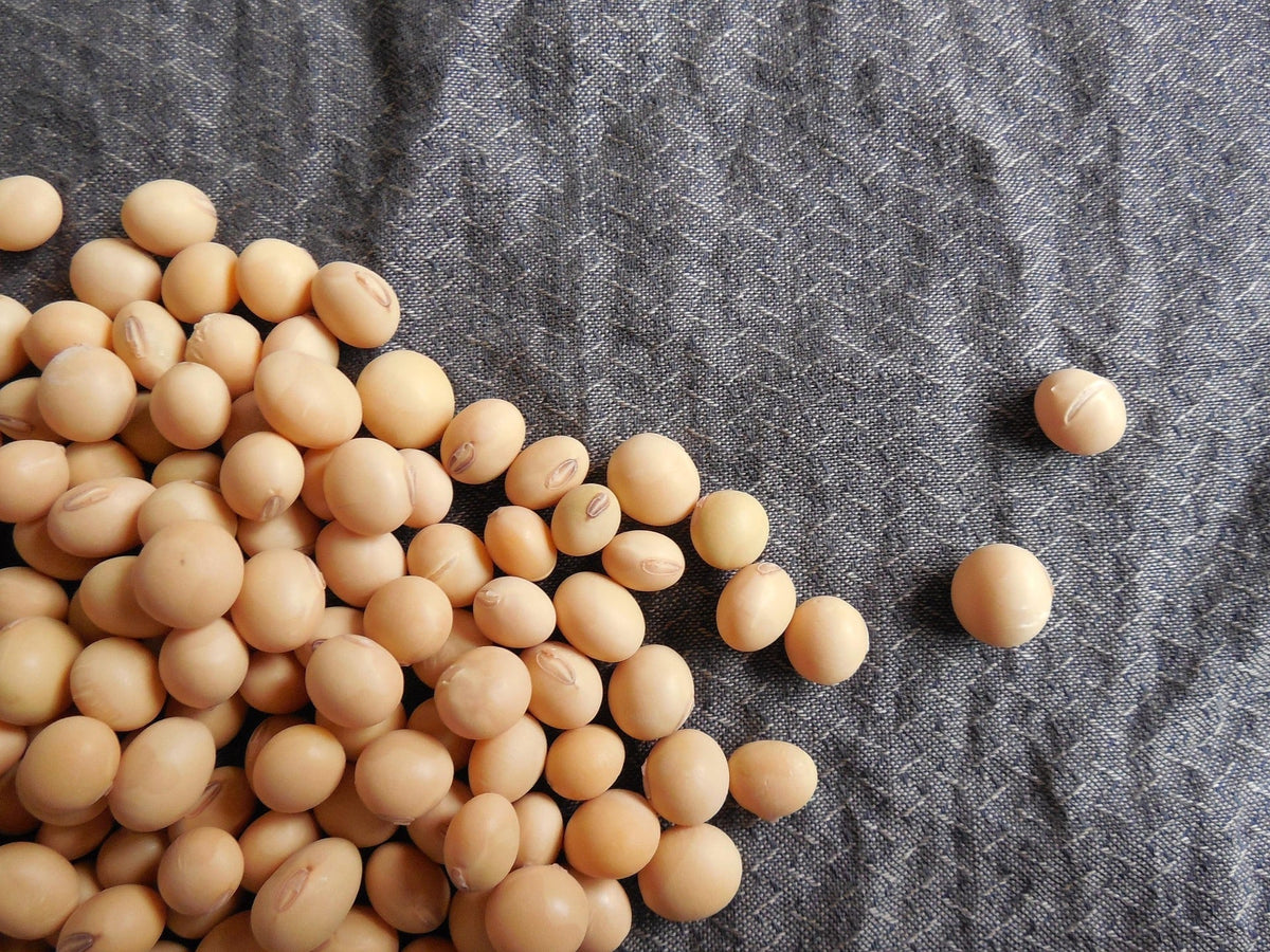Nattokinase: Was das Enzym im Körper leistet