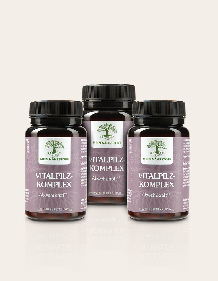 Wintervorrat N°2 | Vitalpilz-Komplex Abwehrkraft